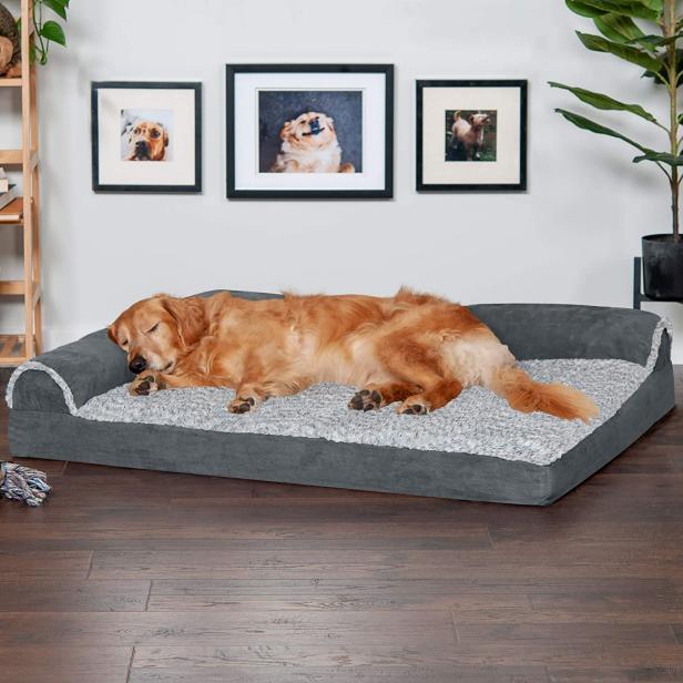 Best dog beds