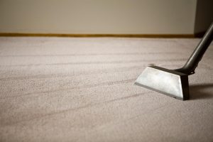 Cleaning The Carpet